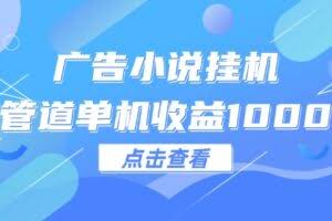 （12198期）广告小说挂机管道单机收益1000+