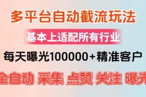 （12709期）小红书抖音视频号最新截流获客系统，全自动引流精准客户【日曝光10000+…