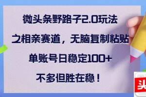 （12763期）微头条野路子2.0玩法之相亲赛道，无脑复制粘贴，单账号日稳定100+，不…