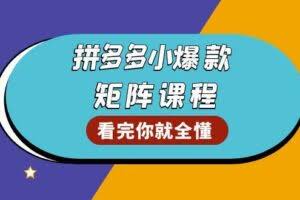 （13699期）拼多多爆款矩阵课程：教你测出店铺爆款，优化销量，提升GMV，打造爆款群