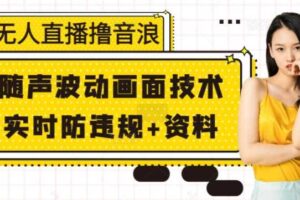 无人直播撸音浪+随声波动画面技术+实时防违规+资料【揭秘】