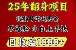 一天收益1000+ 25年开年落地好项目