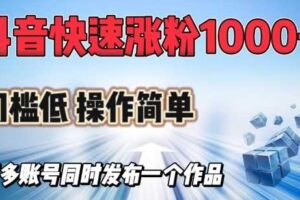 抖音快速涨1000+粉，门槛低操作简单，可多账号同时发布一个作品