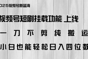（14310期）视频号短剧挂载功能上线，一刀不剪纯搬运，小白也能轻松日入四位数