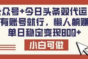 公众号+今日头条双代运营，有账号就行，单日稳定变现8张【揭秘】
