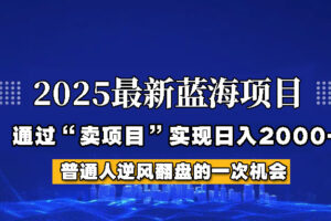 2025年蓝海项目，如何通过“网创项目”日入2000+