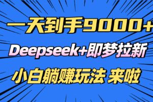 （14371期）日入9000+！Deepseek+即梦拉新，新手躺赚攻略来啦！