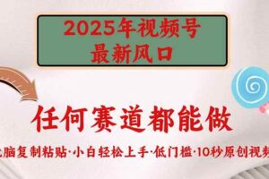 （14453期）2025年视频号新风口，低门槛只需要无脑执行