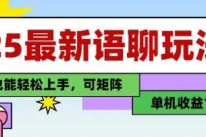 25年最新语聊玩法，纯手工，单机收益100+，小白也能轻松上手，可矩阵操作