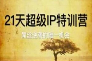 21天超级IP特训营，屌丝逆袭的唯一机会