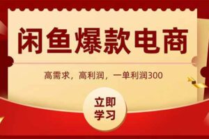 （14746期）闲鱼卖爆款数码产品，当天上架即可出单，一天利润1000