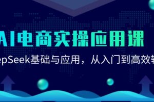 AI电商实操应用课：DeepSeek基础与应用，从入门到高效输出