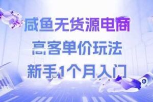 咸鱼无货源电商，高客单价玩法，新手1个月入门