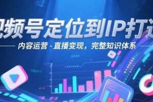 视频号定位到IP打造：账号搭建-内容运营-直播变现，完整知识体系