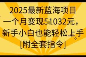 2025最新蓝海项目一个月变现1w+新手小白也能轻松上手【附全套指令】