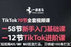 TikTok全套视频课，新手入门+进阶课，短视频ADS-GMV MAX投流打品，日销破1000单打法