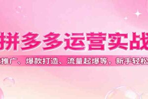 拼多多运营实战，付费推广、爆款打造、流量起爆等，新手轻松起店