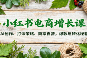 小红书电商增长课：AI创作、打法策略、商家自营，爆款与转化秘籍
