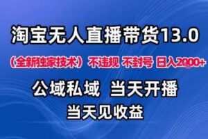 淘宝无人直播13.0，公域私域技术，不封号，不违规布局下半年旺季赛道，日入1K+（独家技术）【揭秘】