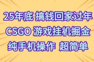 25年底搞钱回家过年，CSGO游戏挂G掘金，纯手机操作超简单【揭秘】