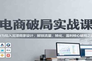 电商破局实战课：专为陷入泥潭商家设计，解锁流量、转化、盈利核心破局之道