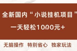 全新国内小说挂G项目，多窗口无脑跑，一天轻松1k+，特别省心【揭秘】