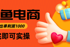 闲鱼高利润电商，当天上架当天出单，一单利润300