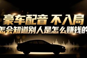 (16908期)小众暴利赛道:豪车配音软件玩法,操作简单暴力,单人日入可达15W