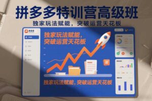 拼多多特训营高阶班,独家玩法赋能,突破运营天花板(更新26年2月)