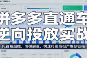拼多多直通车逆向投放实战：托管精细推，阶梯裂变，快速打造高投产爆款链接