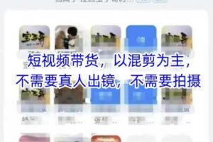 宝子哥头部团队短视频带货,以混剪为主,不需要真人出镜,不需要拍摄【更新26年3月】