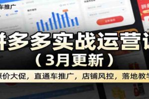 拼多多实战运营课(3月更新):原价大促,直通车推广,店铺风控,落地教学