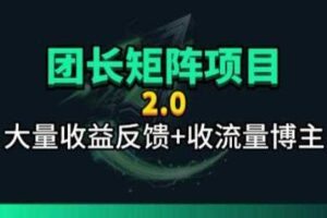 【团长合作2.0】视频矩阵项目_招发手矩阵+剪辑师，共赢项目【揭秘】