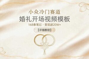 小众冷门赛道,婚礼开场视频模板,168条笔记,变现超20W+【详细教程】